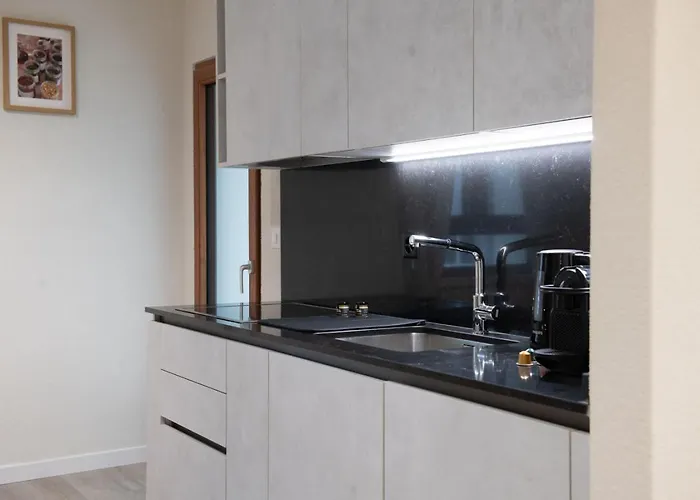 Leaf In Oerlikon 苏黎世